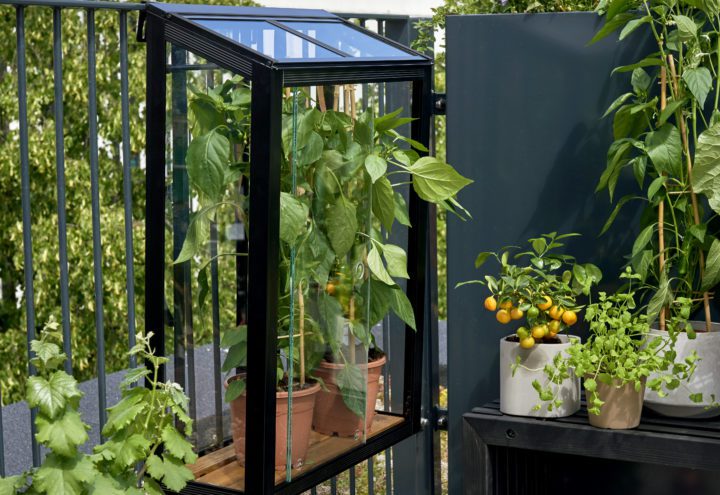 Balcony Garden