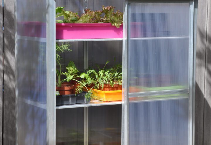 Plant Station Royal Well