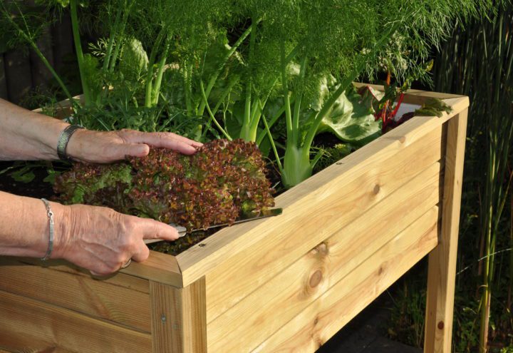 Planter-On-Wheels Royal Well