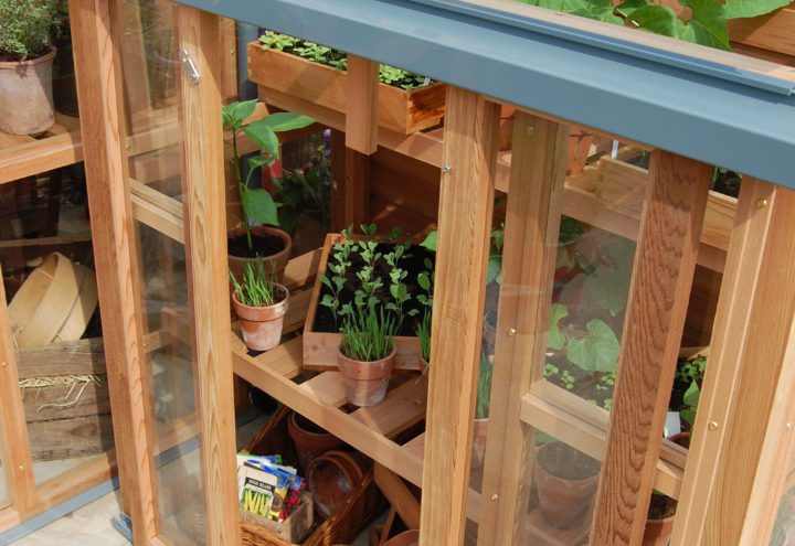 New Cedar Garden Royal Well