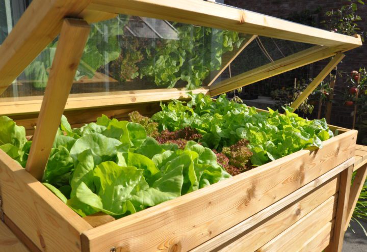 Grower-On-Wheels Royal Well